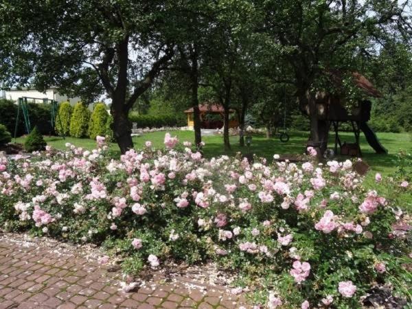 Skalny Apartamenty, Pokoje Огродзенец Экстерьер фото