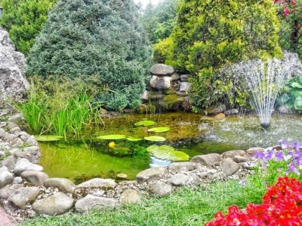Skalny Apartamenty, Pokoje Огродзенец Экстерьер фото