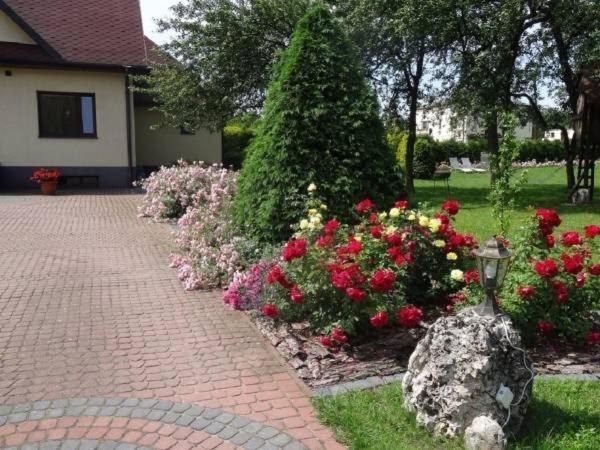 Skalny Apartamenty, Pokoje Огродзенец Экстерьер фото